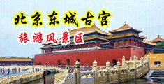 大屌操妞网中国北京-东城古宫旅游风景区